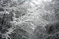 Bild: Im Harz