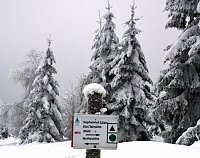 Bild: Im Harz
