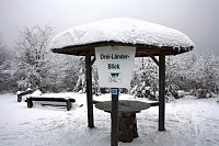 Bild: Im Harz