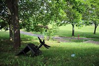Felsenbirne, die verkannte bzw. vergessene Frucht Bild: Felsenbirne, die verkannte bzw. vergessene Frucht