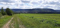 Vertrocknete Bäume, Bänke und mehr Bild: Vertrocknete Bäume, Bänke und mehr