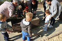 Bild: Herbstputz und Herbstpflanzung in Stocksen