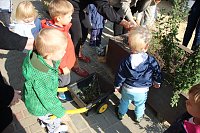 Bild: Herbstputz und Herbstpflanzung in Stocksen