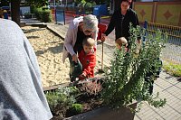 Bild: Herbstputz und Herbstpflanzung in Stocksen