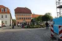 Pflanzenmarkt in Sondershausen gut besucht Bild: Pflanzenmarkt in Sondershausen gut besucht
