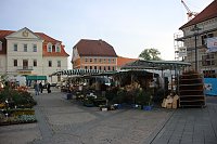 Pflanzenmarkt in Sondershausen gut besucht Bild: Pflanzenmarkt in Sondershausen gut besucht