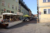 Pflanzenmarkt in Sondershausen gut besucht Bild: Pflanzenmarkt in Sondershausen gut besucht