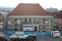 Pflanzenmarkt in Sondershausen gut besucht Bild: Pflanzenmarkt in Sondershausen gut besucht