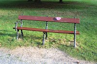 Gang durch den Schlosspark Bild: Gang durch den Schlosspark