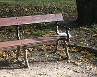 Gang durch den Schlosspark Bild: Gang durch den Schlosspark