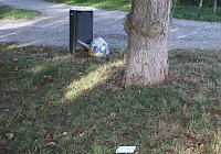 Gang durch den Schlosspark Bild: Gang durch den Schlosspark