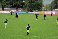 Verdienstvolle Faustballer geehrt Bild: Verdienstvolle Faustballer geehrt