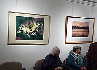 Bild: Ausstellung Manuela Haufschild