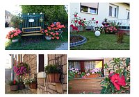 Bild: Gro&szlig;e Beteiligung am 26. "Frankenh&auml;user Blumensommer" 2020