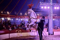 Circus Atlantik am Scheunenhof Bild: Circus Atlantik am Scheunenhof