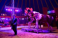 Circus Atlantik am Scheunenhof Bild: Circus Atlantik am Scheunenhof