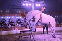 Circus Atlantik am Scheunenhof Bild: Circus Atlantik am Scheunenhof