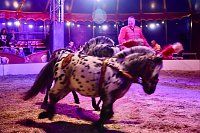 Circus Atlantik am Scheunenhof Bild: Circus Atlantik am Scheunenhof