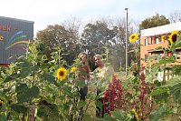 Für eine lebendige und zukunftsfähige Stadt Bild: Für eine lebendige und zukunftsfähige Stadt