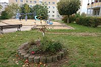 Ein Apfelbaum für den Spielplatz Bild: Ein Apfelbaum für den Spielplatz