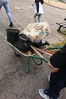 Ein Apfelbaum für den Spielplatz Bild: Ein Apfelbaum für den Spielplatz