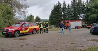 Bild: Junger Kauz in misslicher Lage