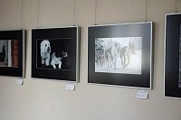 Landesfotoschau Thüringen in Sondershausen zu Gast Bild: Landesfotoschau Thüringen in Sondershausen zu Gast