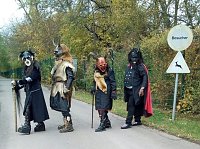 Zu Halloween im Zoo Park Bild: Zu Halloween im Zoo Park