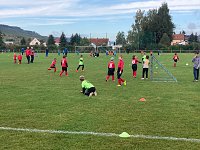 Die Bambinis des SG Empor Bild: Die Bambinis des SG Empor