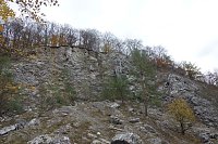 Landschaftspflegesaison im Südharz hat begonnen Bild: Landschaftspflegesaison im Südharz hat begonnen