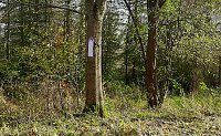 In Scharen in die Natur Bild: In Scharen in die Natur