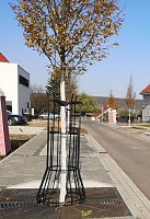 Barrierefreiheit in Sondershausen fehlt immer noch an vielen Stellen Bild: Barrierefreiheit in Sondershausen fehlt immer noch an vielen Stellen