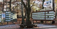 Bild: Tagesausflug zum Hexentanzplatz 