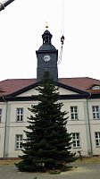 Bild: Weihnachtsmeldungen aktuell