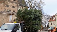 Auch in Sondershausen steht der Weihnachtsbaum Bild: Auch in Sondershausen steht der Weihnachtsbaum
