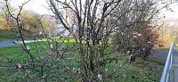 Natur Bild: Natur