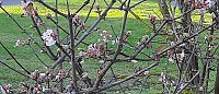Natur Bild: Natur