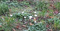 Natur Bild: Natur