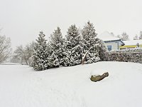 Ausflug nach Stiege Bild: Ausflug nach Stiege