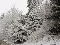 Ausflug nach Stiege Bild: Ausflug nach Stiege