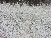 Ausflug nach Stiege Bild: Ausflug nach Stiege