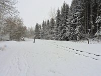 Ausflug nach Stiege Bild: Ausflug nach Stiege