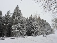 Ausflug nach Stiege Bild: Ausflug nach Stiege