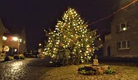 Bild: Weihnachtsbaum in Etzleben