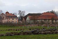 Bild: Winterlicher Garten in der Orangerie Bendeleben
