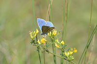 Bild: Naturvielfalt im S&uuml;dharz