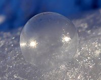 Bild: Winterzauber in der Goldenen Aue