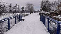 Bild: Winterzauber in der Goldenen Aue