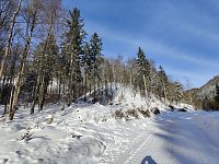Bild: Im Brandesbachtal
