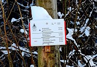 Bild: Im Brandesbachtal